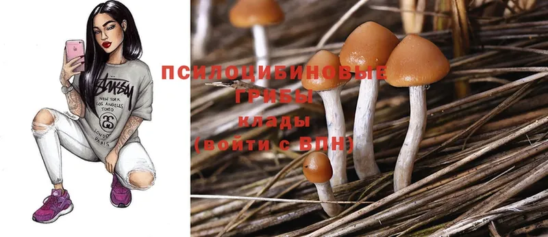 Псилоцибиновые грибы MAGIC MUSHROOMS  цена наркотик  Калининск 